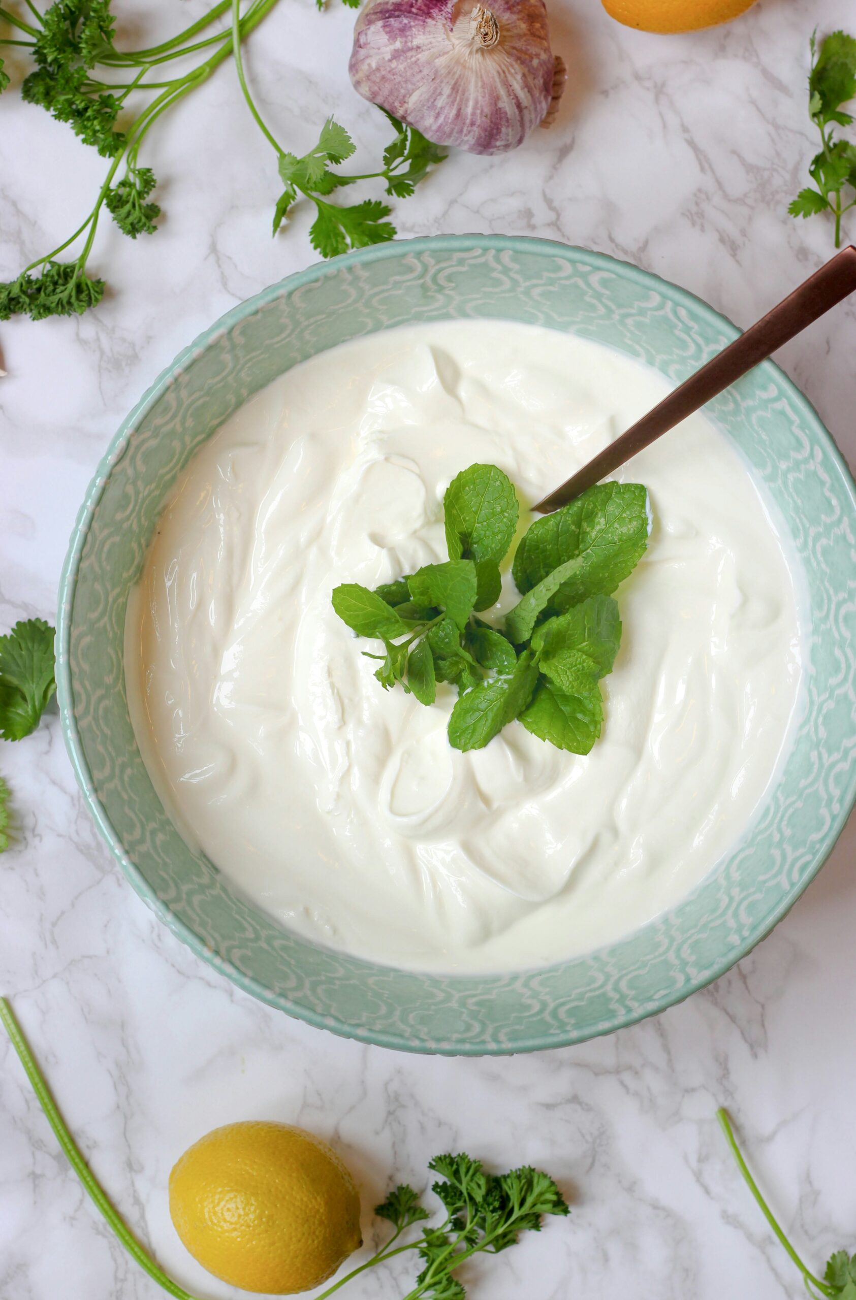 probiotic food intake is just one of the natural ways on how to heal the gut