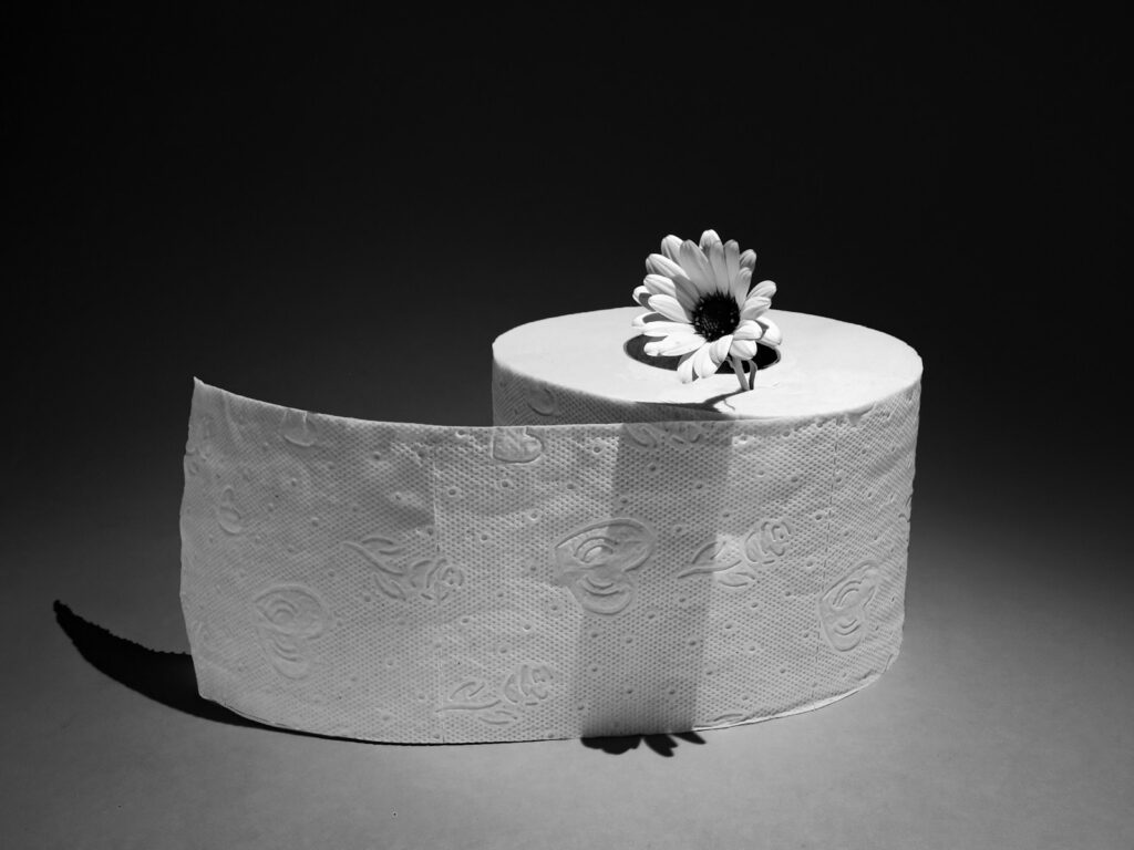 one stemmed white chrysanthemum  flower placed on top of a big roll of white tissue paper