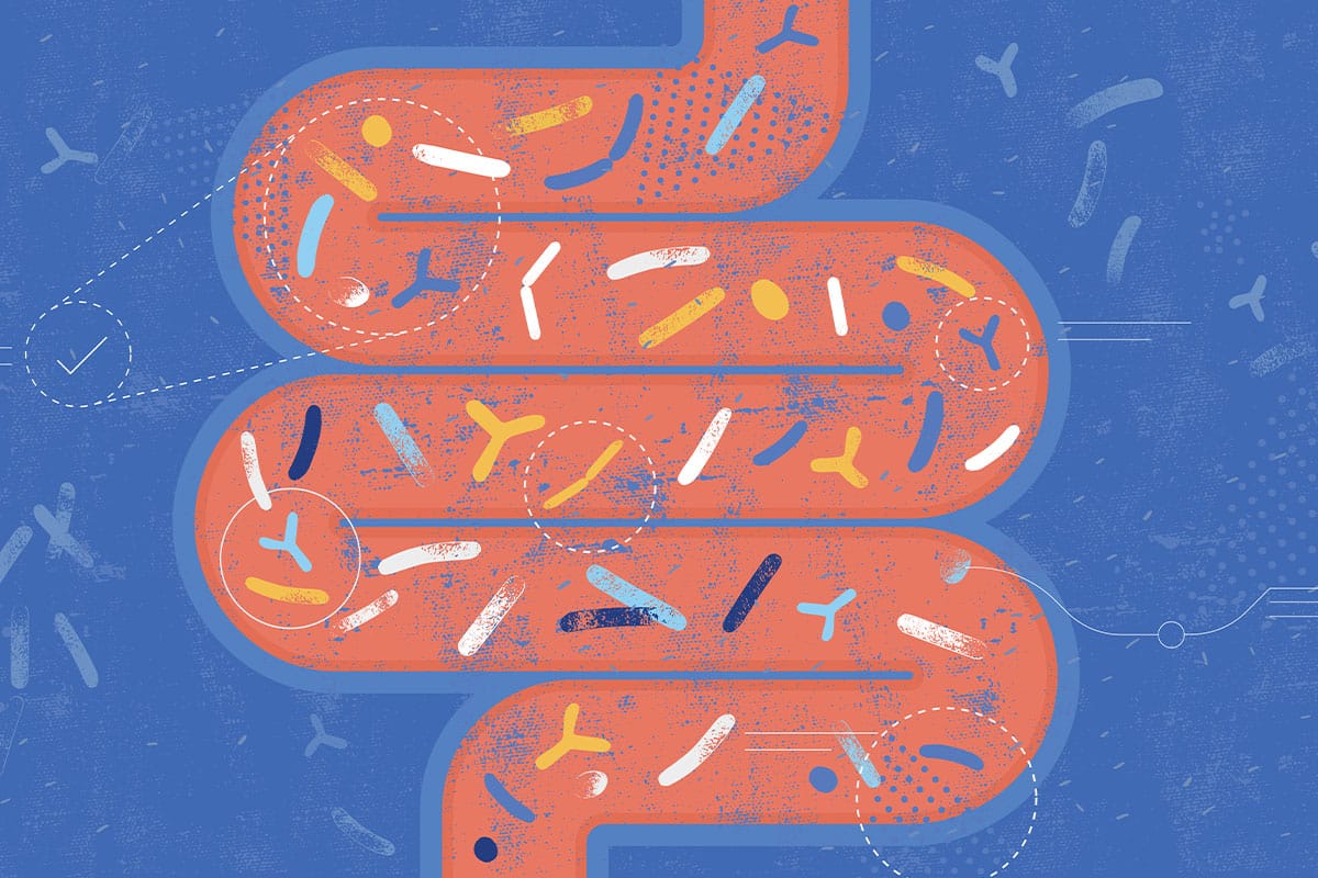 blog-are-probiotics-good-for-type-2-diabetes-feat