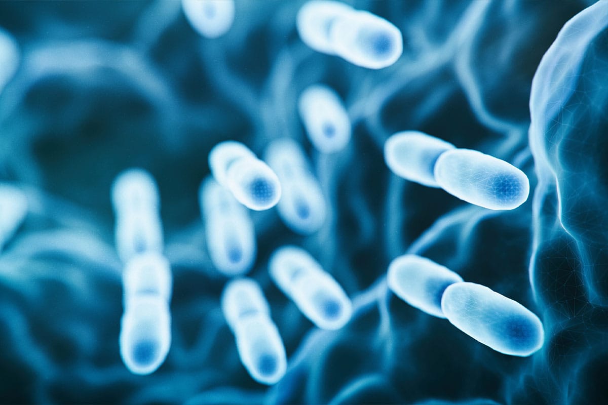 blog-do-probiotics-help-loss-weight-feat