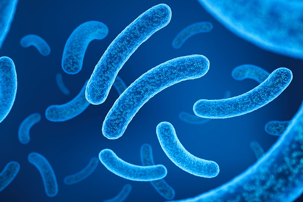 blog-probiotics-vs-digestive-enzymes-which-is-right-for-you-feat